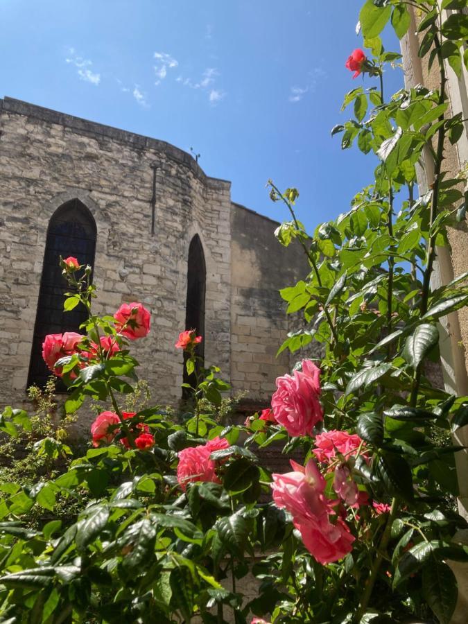 Cocooning Avignon