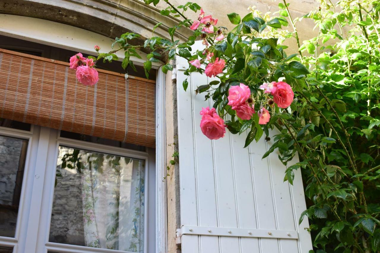 Cocooning Guest house
